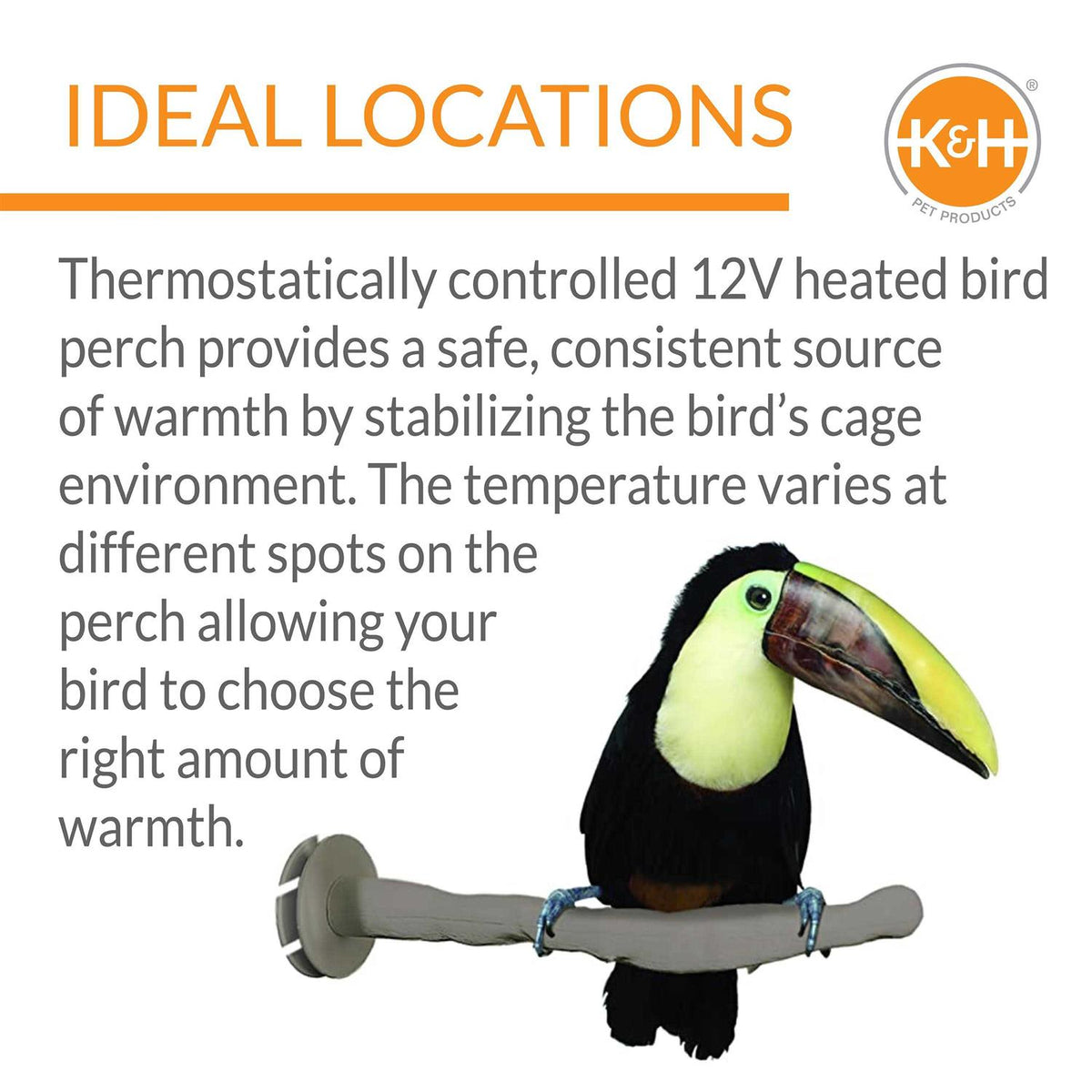 Bird Thermo-Perch P550849