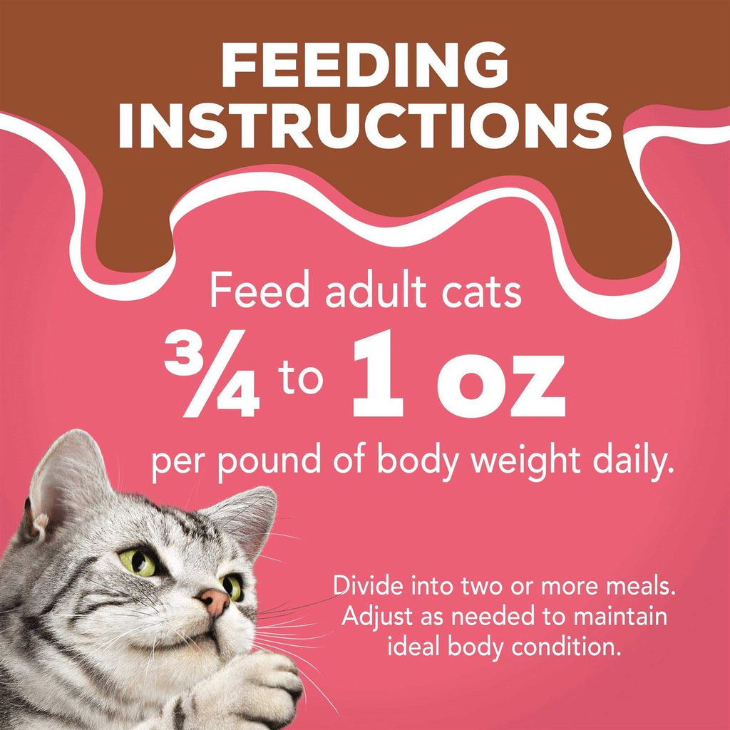 Wet Cat Food B151