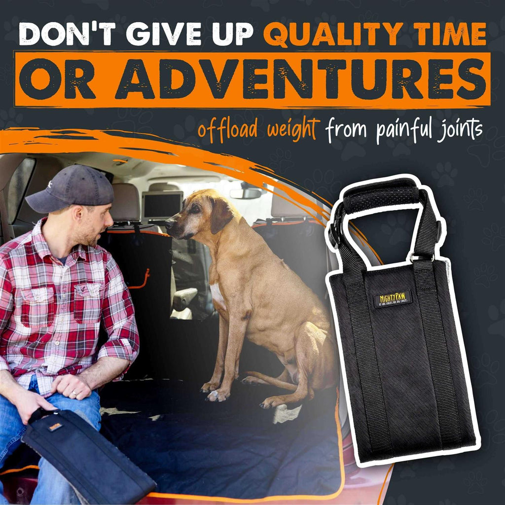 Dog Lift Harness H12406