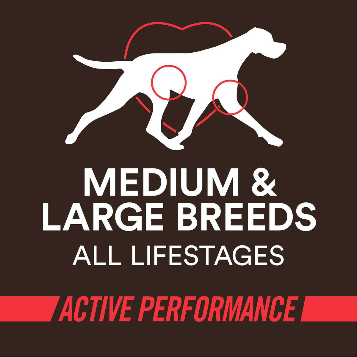 High-Protein Beef & Rice Recipe Dry Dog Food G784