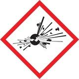 Exploding Bomb Pictogram Labels - 1 in x 1 in - Self-Adhesive - Polyester - Black/Red on White J253807