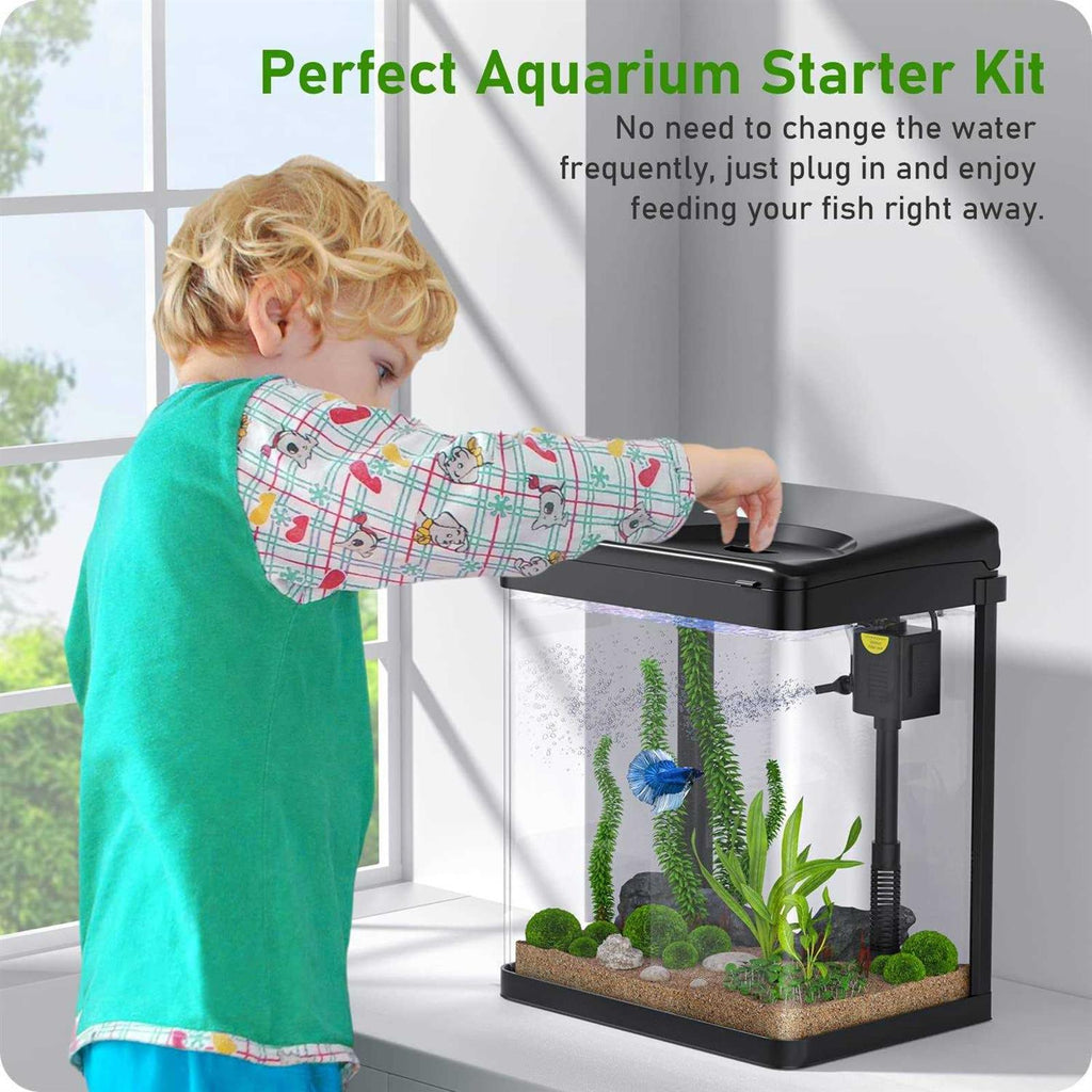2 Gallon Glass Aquarium with Filter and Light X800625