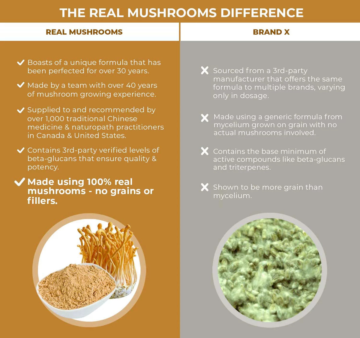Cordyceps Supplement Y35151