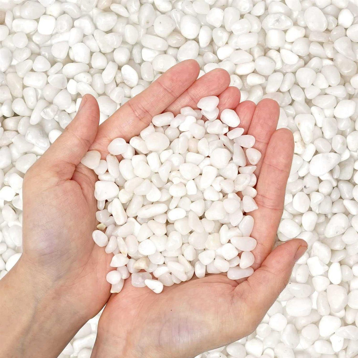 Natural Polished Decorative White Pebbles 3/8 Gravel Size L45364