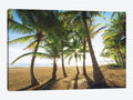 Canvas Wall Decor Prints - Palm Island, Puerto Rico E546319