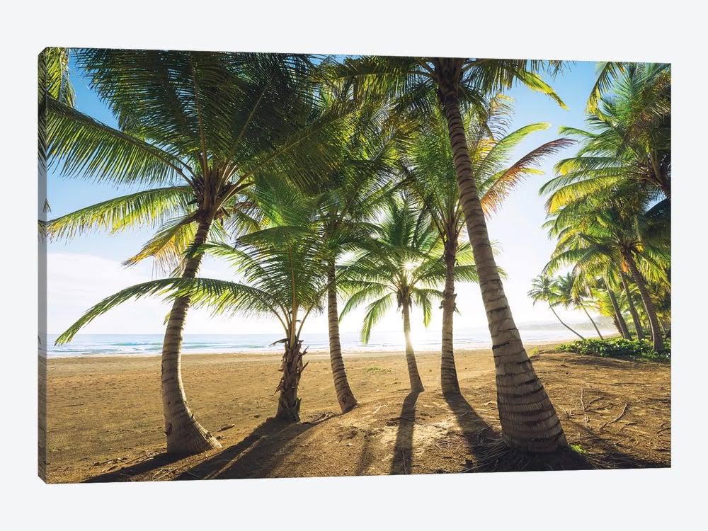 Canvas Wall Decor Prints - Palm Island, Puerto Rico E546319
