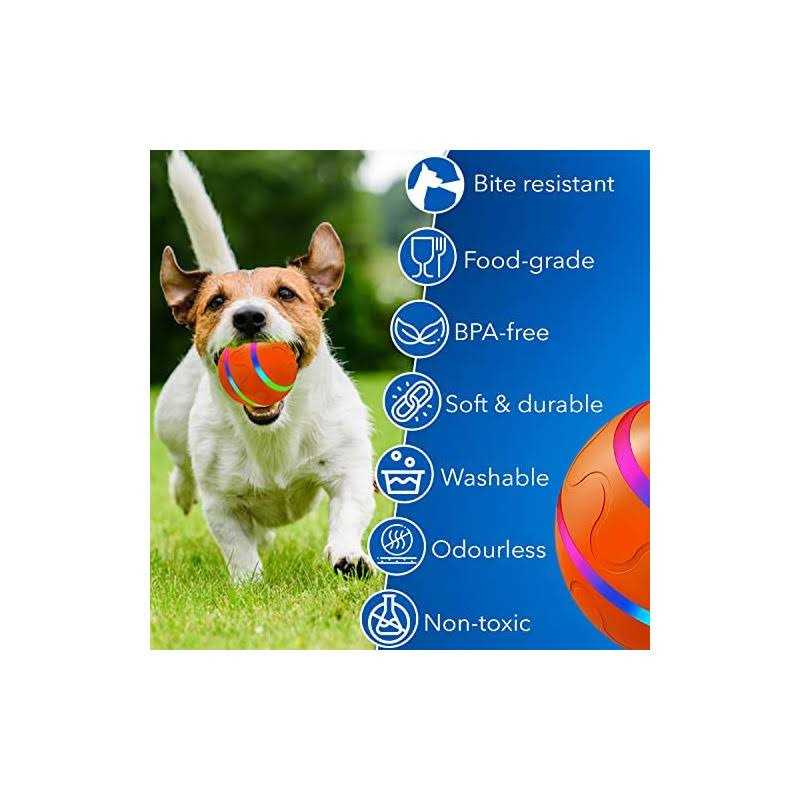 Interactive Dog Ball Toy with USB Charging & LED Lights R693108