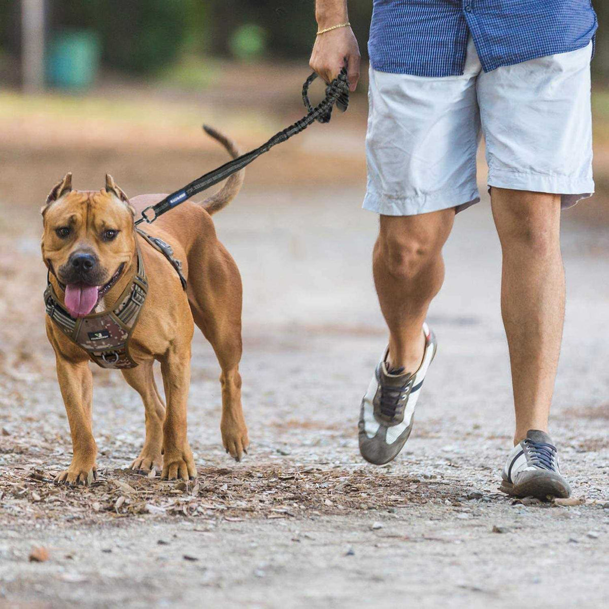 Dog Leash Bungee P71297