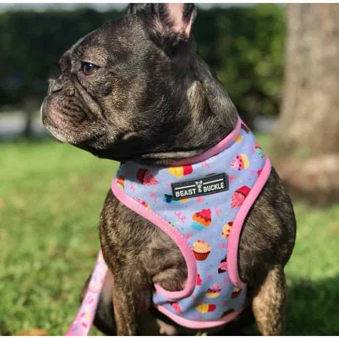 Reversible Dog Harness W136848
