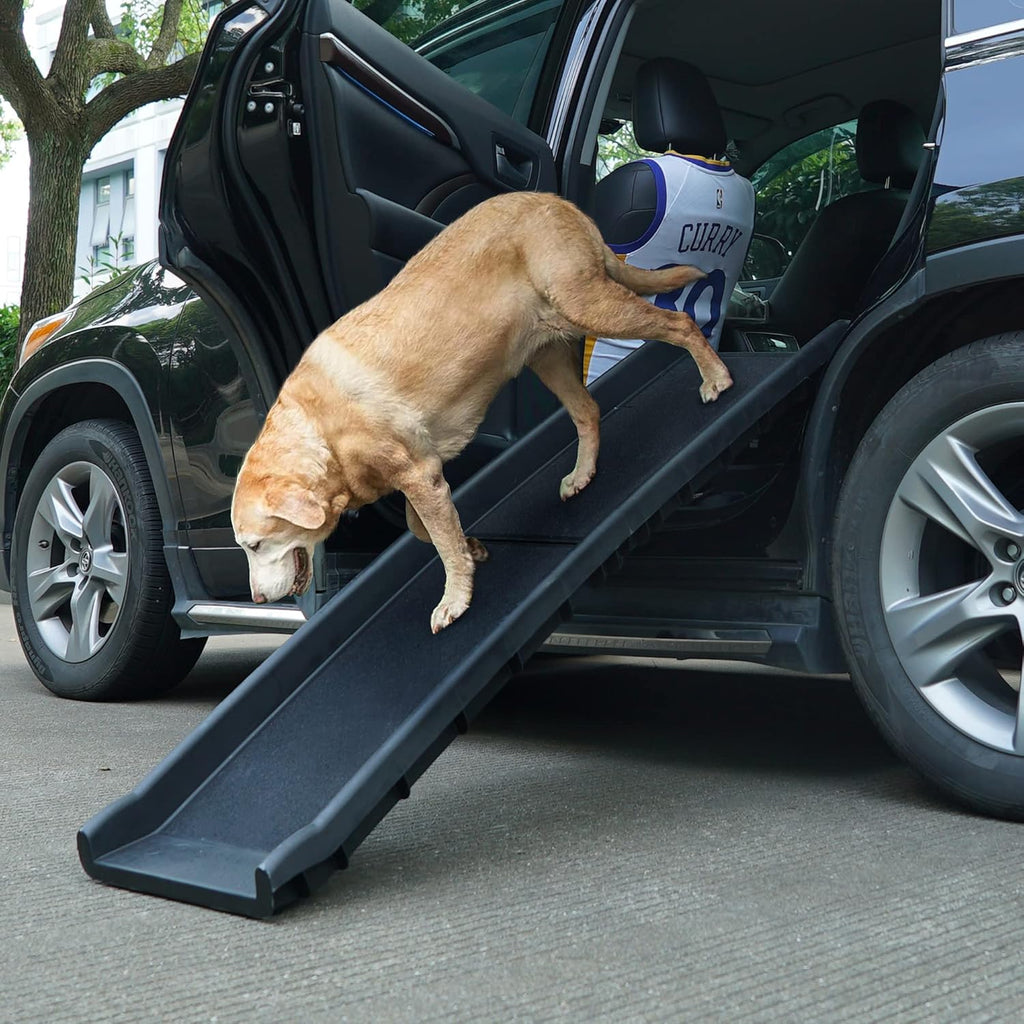 62"L Heavy Duty Folding Dog Ramp F4832