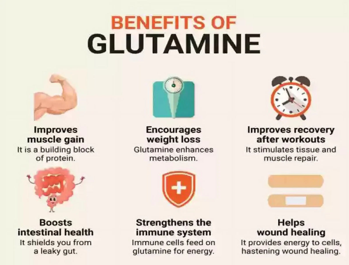 Glutamine Health Supplement 60 Servings Z548603